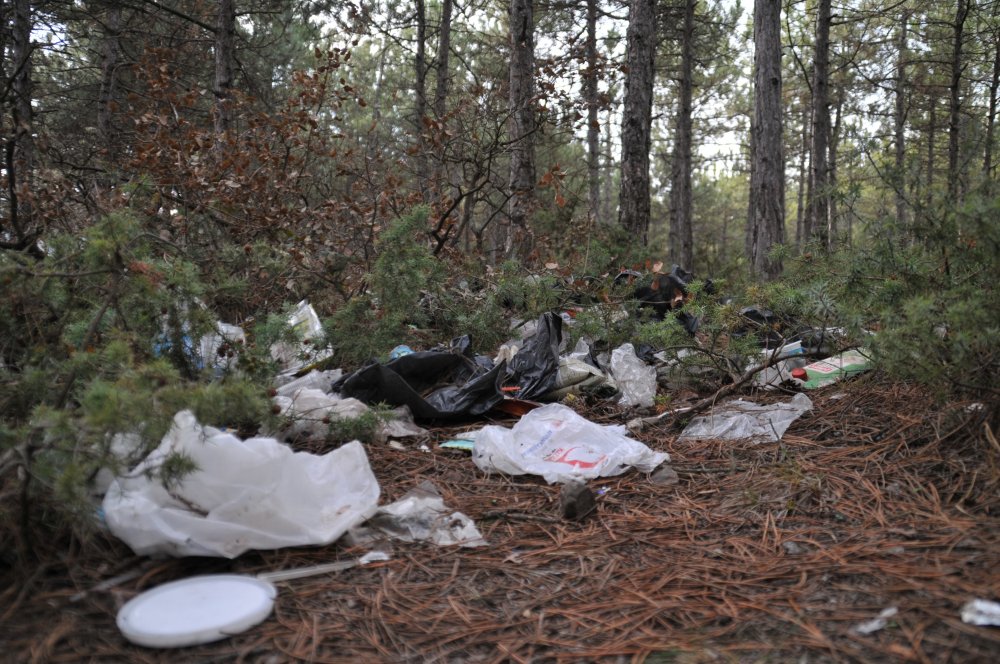 Eskişehir’in akciğerleri olarak bilinen Kent Ormanı’na atılan çöpler, oluşturduğu görüntülerle pes dedirtti.