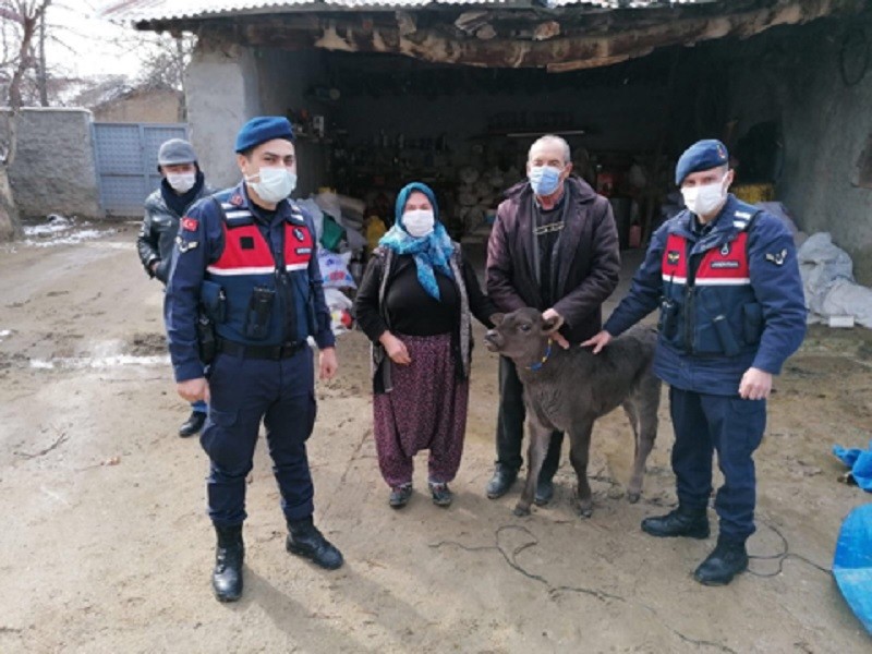 Eskişehir’in Sivrihisar ilçesinde 3 ayrı büyükbaş hayvan hırsızlık olayını gerçekleştiren şahıslar Gürcistan’a kaçarken yakalandı.