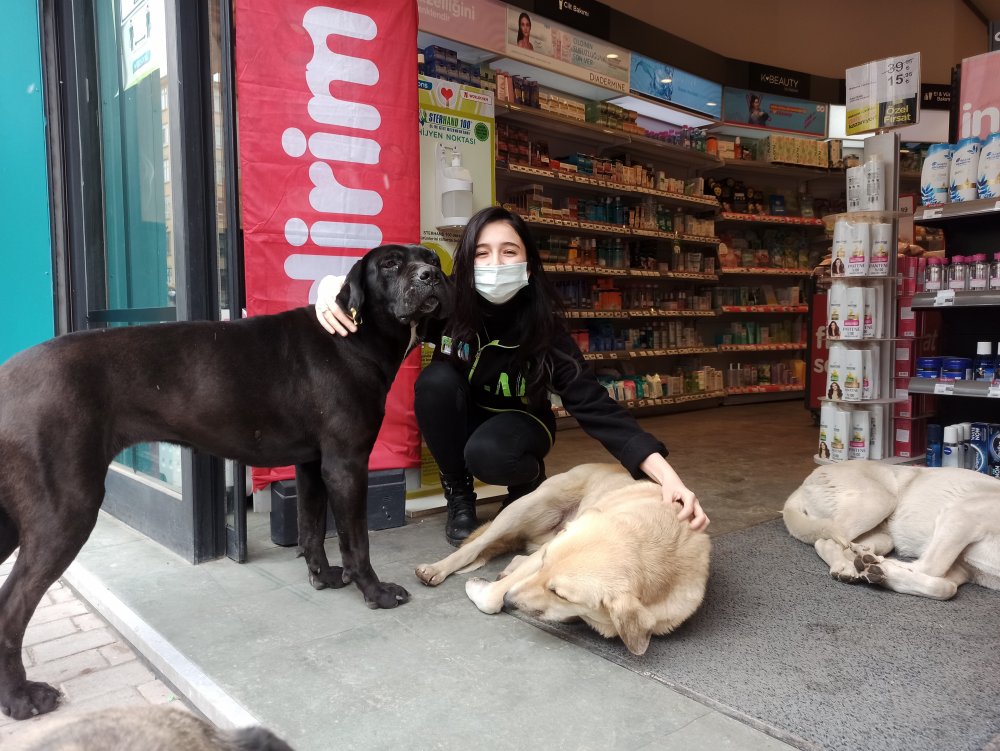  Eskişehir’de bir kozmetik mağazası kapılarını sokak hayvanlarına açıp onları soğuk havadan koruyor.