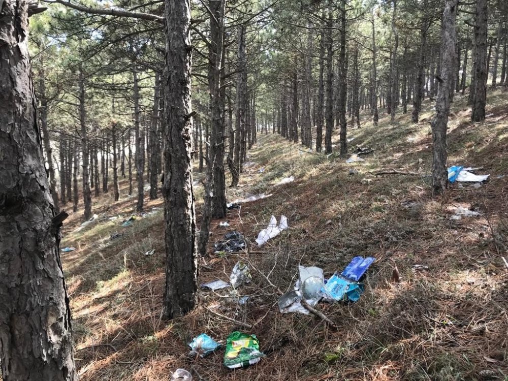 Eskişehir’de ormanlık alana duyarsız vatandaşlar tarafından atılan çöpler, çevre kirliliğine neden oluyor.