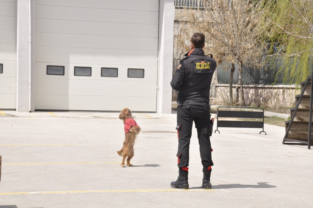 Eskişehir’de Polis Haftası kutlamaları kapsamında, Çevik Kuvvet Şube Müdürlüğü’nün Şehit Polis Memuru Ali Sevim yerleşkesinde Köpek Eğitim Merkezi (KEM) tarafından bir gösteri düzenlendi.