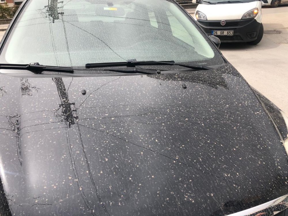 Birkaç gün önce uyarısı yapılan çamur yağışının izleri Eskişehir'de bugün araçların üzerinde görüldü.